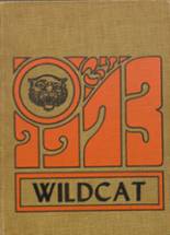 Calhoun City High School 1973 yearbook cover photo