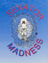 Madison High School 1995 yearbook cover photo