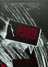 1989 Cerro Gordo High School Yearbook from Cerro gordo, Illinois cover image