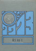 Rayburn High School 1973 yearbook cover photo