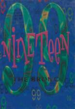 1999 Hillsdale High School Yearbook from Hillsdale, Oklahoma cover image