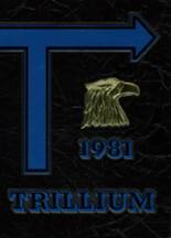 Trumbull High School 1981 yearbook cover photo