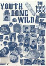 1993 Rochester High School Yearbook from Rochester, Vermont cover image
