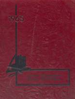 Jewett-Scio High School 1965 yearbook cover photo