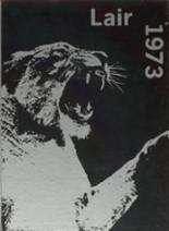 Wheeling High School 1973 yearbook cover photo