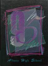 1995 Albany High School Yearbook from Albany, Minnesota cover image
