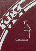 North Andrew R-Vi High School 1981 yearbook cover photo