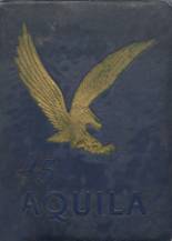1945 Shelbyville Central High School Yearbook from Shelbyville, Tennessee cover image
