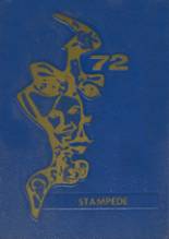 Clemens High School 1972 yearbook cover photo