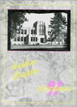 Scio Central High School 1993 yearbook cover photo