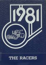 Newcastle High School 1981 yearbook cover photo