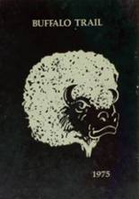 Forsan High School 1975 yearbook cover photo
