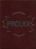 Dundee High School 1981 yearbook cover photo