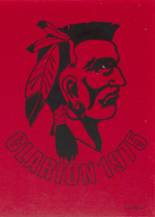 South Point High School 1975 yearbook cover photo