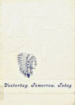 Indian River High School 1977 yearbook cover photo