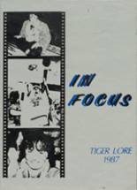Alcona High School 1987 yearbook cover photo
