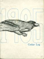 Cedar Crest High School 1985 yearbook cover photo