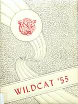 Albin Consolidated High School 1955 yearbook cover photo