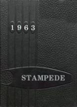Stanley County High School 1963 yearbook cover photo
