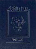 Pine Island High School 1985 yearbook cover photo