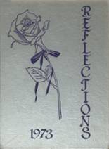 1973 Middletown Area High School Yearbook from Middletown, Pennsylvania cover image