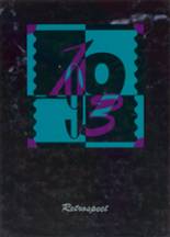 1993 Grass Lake High School Yearbook from Grass lake, Michigan cover image