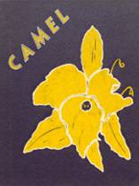 Campbell County High School 1964 yearbook cover photo