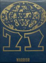 Ansley High School 1971 yearbook cover photo