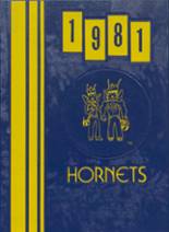 Essex Junction High School 1981 yearbook cover photo