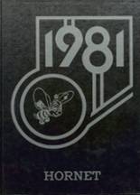 Roscoe High School 1981 yearbook cover photo