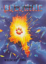 1991 Andrews High School Yearbook from Andrews, North Carolina cover image