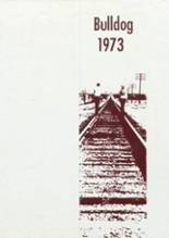 Millsap High School 1973 yearbook cover photo