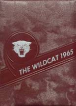 Frankfort High School 1965 yearbook cover photo