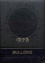 Madison High School 1973 yearbook cover photo