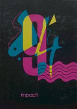 1994 Clearview High School Yearbook from Lorain, Ohio cover image