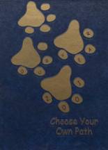 2001 Downingtown High School Yearbook from Downingtown, Pennsylvania cover image