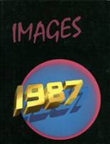 Vallejo High School 1987 yearbook cover photo