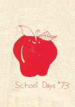 Clarksville High School 1973 yearbook cover photo