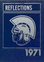 1971 Dodgeland High School Yearbook from Juneau, Wisconsin cover image