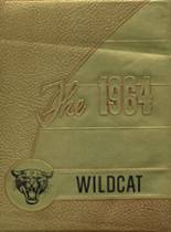 Cashion Public High School 1964 yearbook cover photo