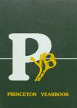 1989 Princeton High School Yearbook from Princeton, California cover image