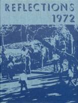 1972 Roosevelt High School Yearbook from Wyandotte, Michigan cover image