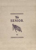 Morenci High School 1917 yearbook cover photo