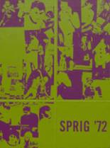 Bremen High School 1972 yearbook cover photo