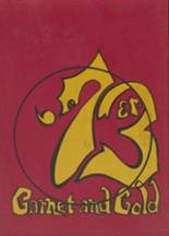 Abbeville High School 1973 yearbook cover photo