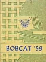 Medina High School 1959 yearbook cover photo