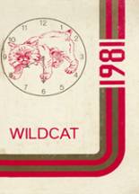 Bath County High School 1981 yearbook cover photo