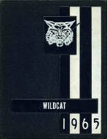 Pittsford High School 1965 yearbook cover photo