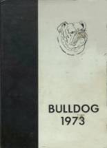 Hampton High School 1973 yearbook cover photo