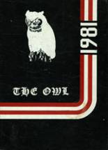 Ooltewah High School 1981 yearbook cover photo